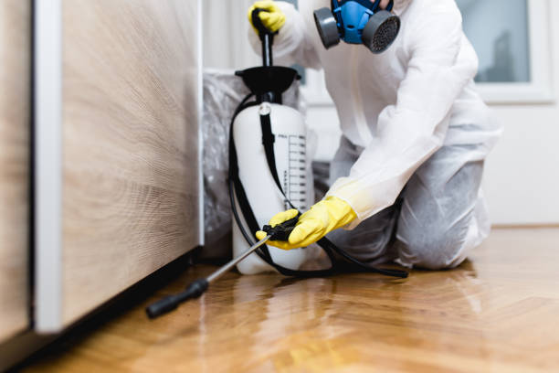 Best Residential Pest Control  in Albers, IL