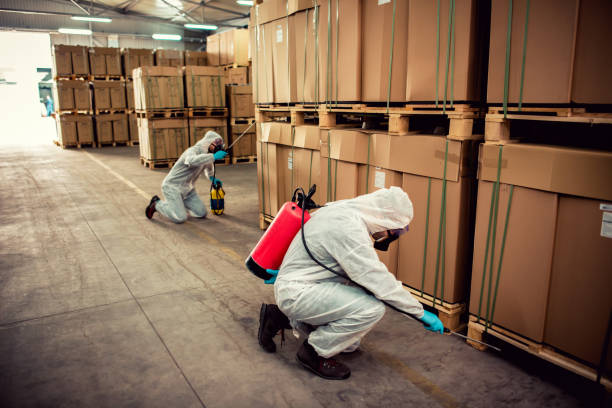 Best Mosquito Control Services  in Albers, IL