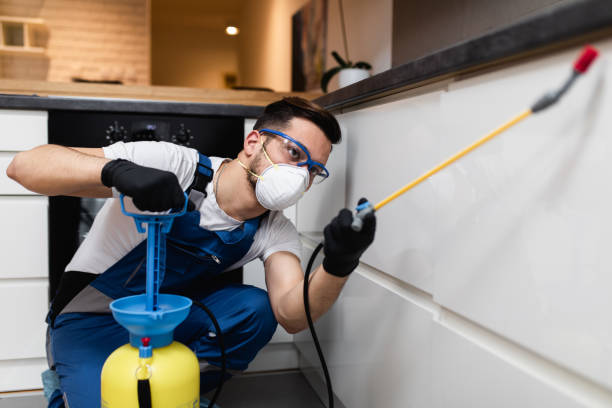 Trusted Albers, IL Pest Control Experts