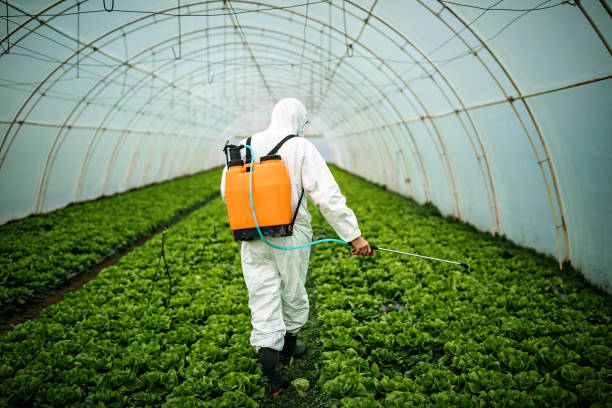 Best Ant Control Services  in Albers, IL