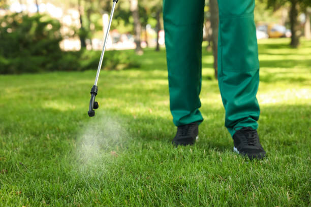 Best Insect Control  in Albers, IL