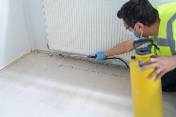 Best Exterminator Services  in Albers, IL